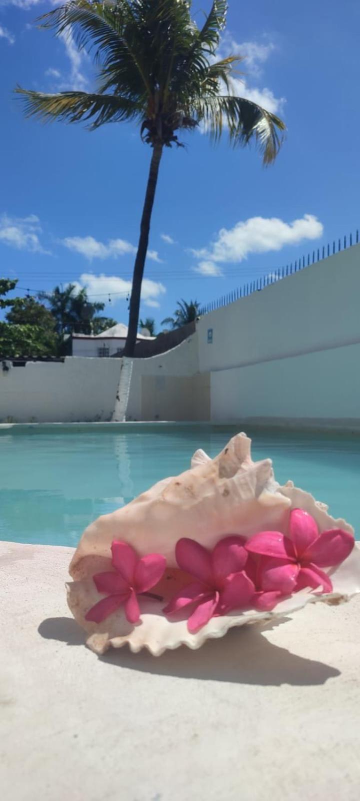 Hotel Coral Cancún Exterior foto